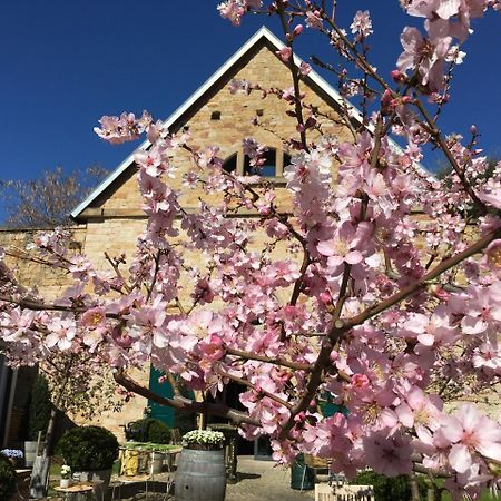 Loblocher Hof Neustadt an der Weinstraße エクステリア 写真